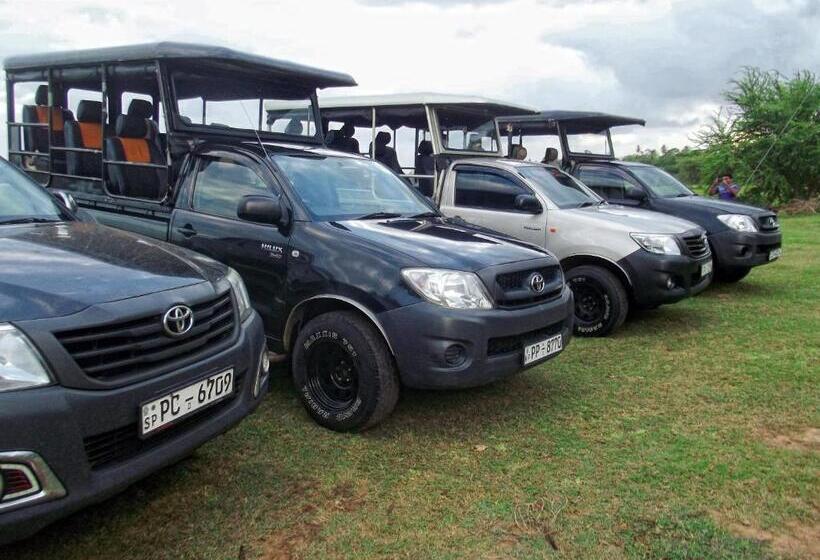 חדר משפחתי, Lake Face Cabana