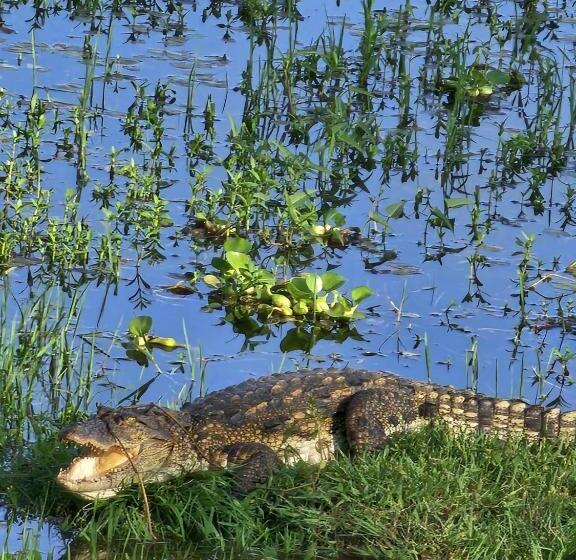 חדר משפחתי, Lake Face Cabana