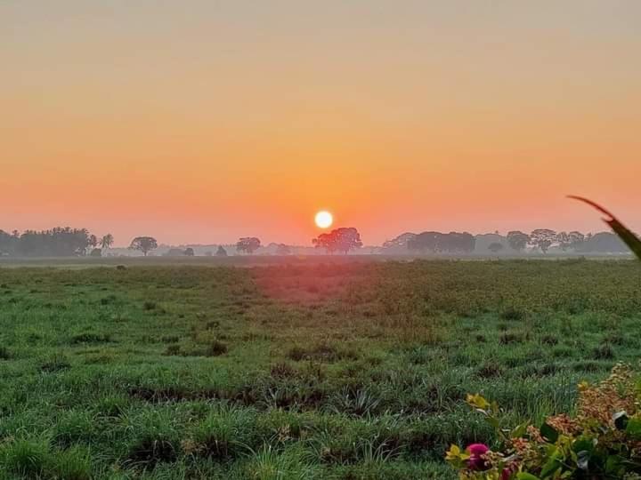 חדר סטנדרט נוף לאגם, Lake Face Cabana
