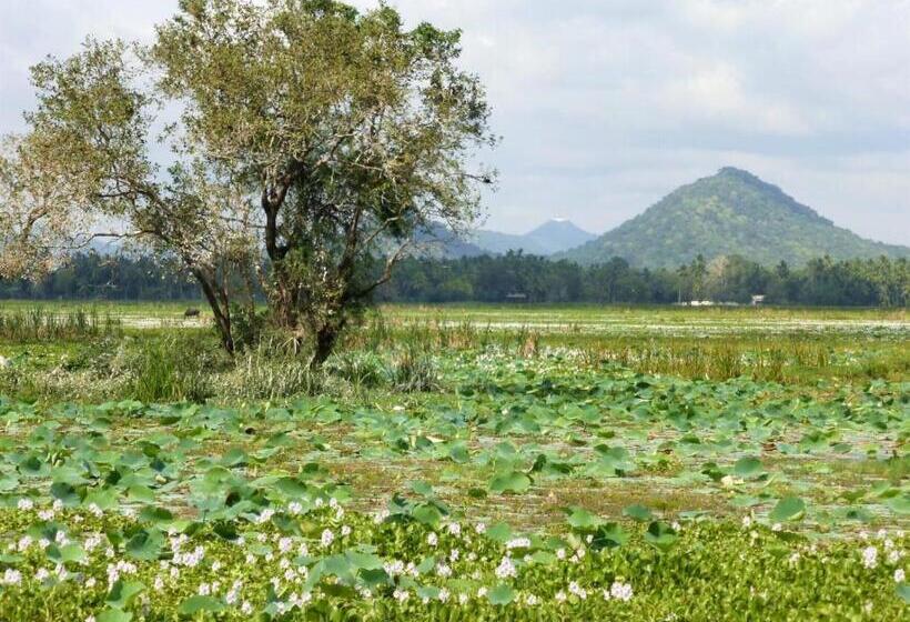 חדר סטנדרט נוף לאגם, Lake Face Cabana
