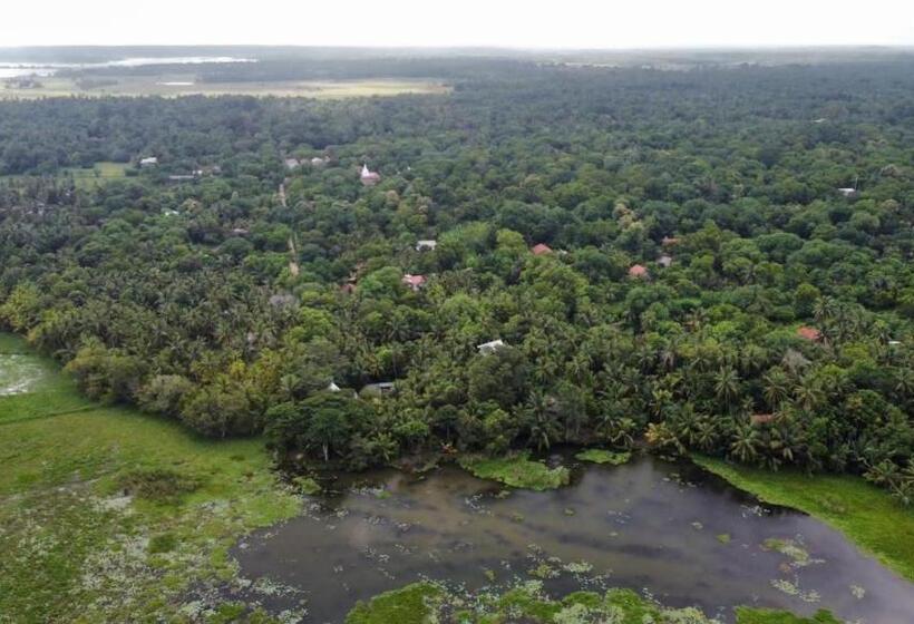 חדר משפחתי, Lake Face Cabana