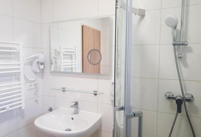 스탠다드 룸 산 전망, Pan Haus Bad Goisern