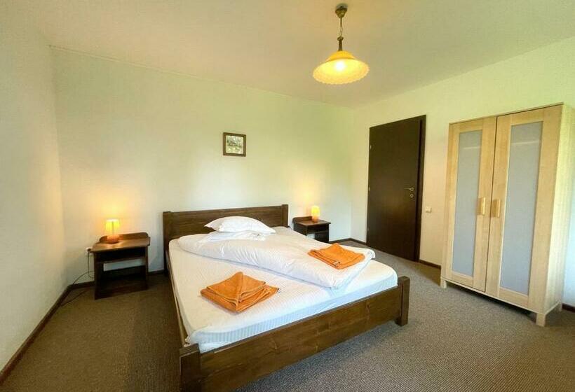 اتاق استاندارد, Pensiunea Cehov