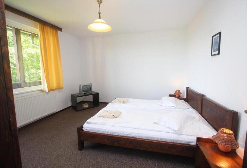 ویلای 1 خوابه, Pensiunea Cehov