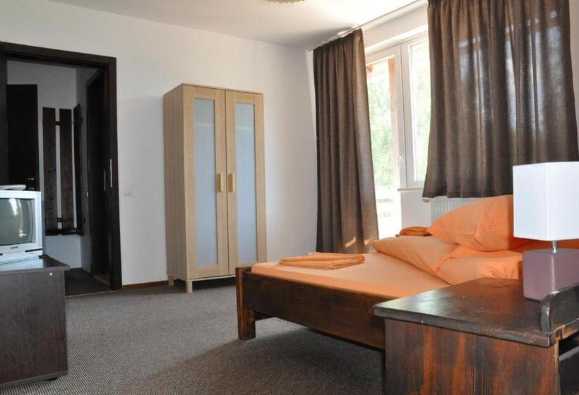 اتاق استاندارد سه نفره, Pensiunea Cehov