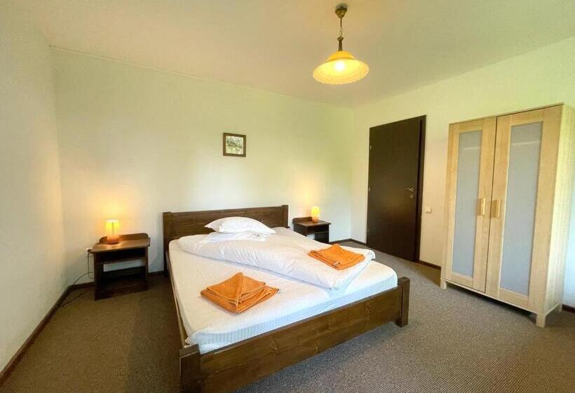 ویلای 1 خوابه, Pensiunea Cehov