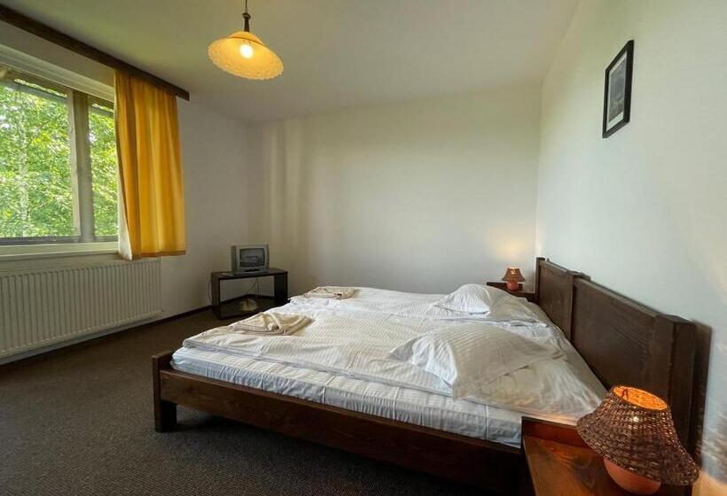 ویلای 1 خوابه, Pensiunea Cehov