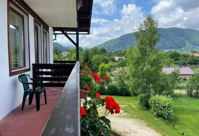 ویلای 1 خوابه, Pensiunea Cehov