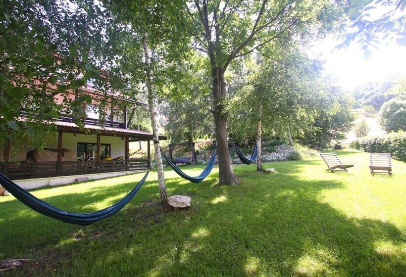 ویلای 1 خوابه, Pensiunea Cehov