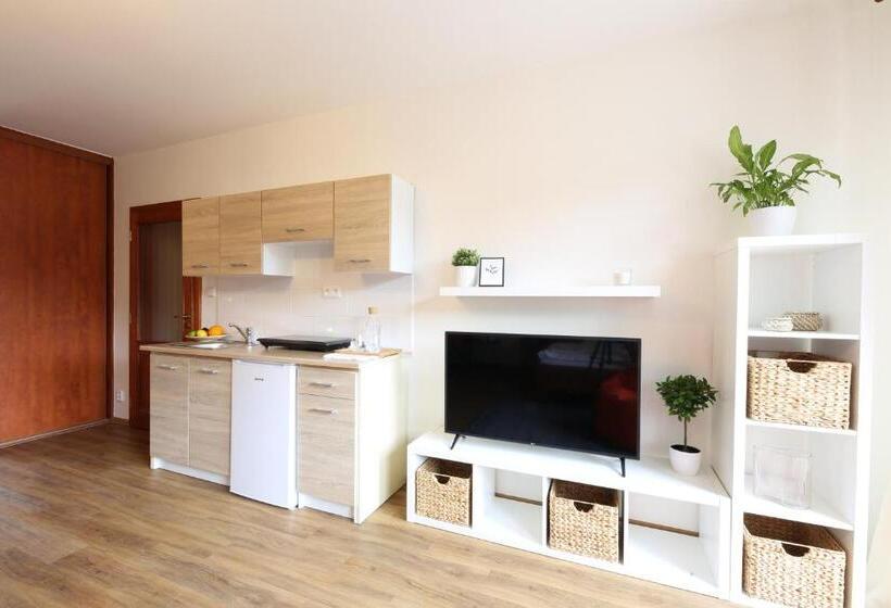 شقة غرفة واحدة ذات إطلالة, úpatí Ještědu   Apartmány