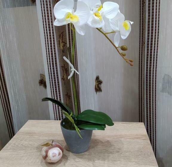 ベーシックルーム, каламанди