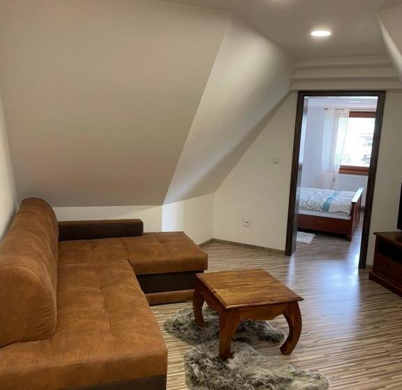 带观景的豪华间, Penzión U Dvoch Levov