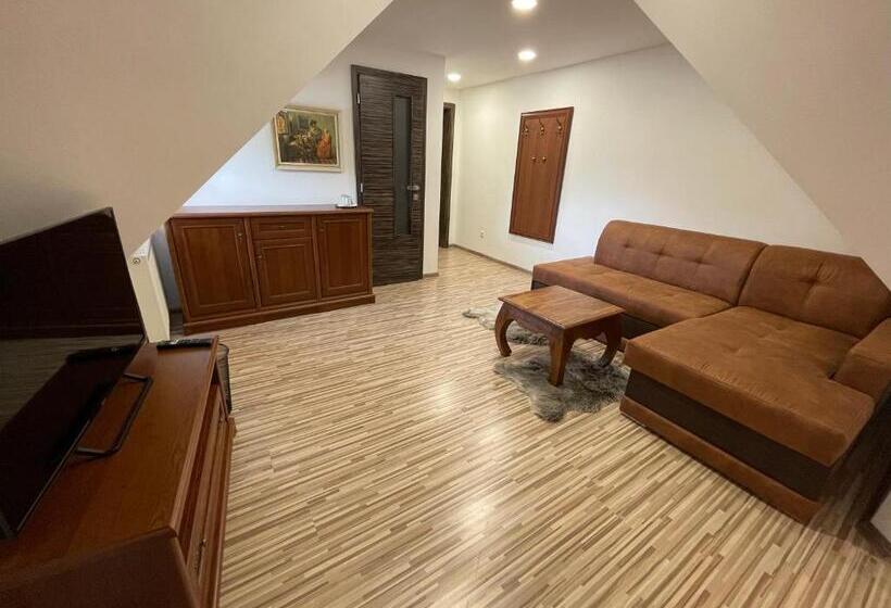 带观景的豪华间, Penzión U Dvoch Levov