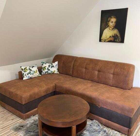 带观景的豪华间, Penzión U Dvoch Levov