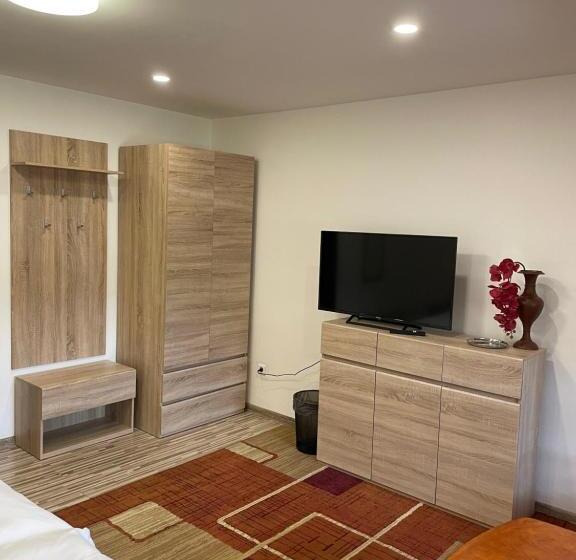 标准三人间, Penzión U Dvoch Levov