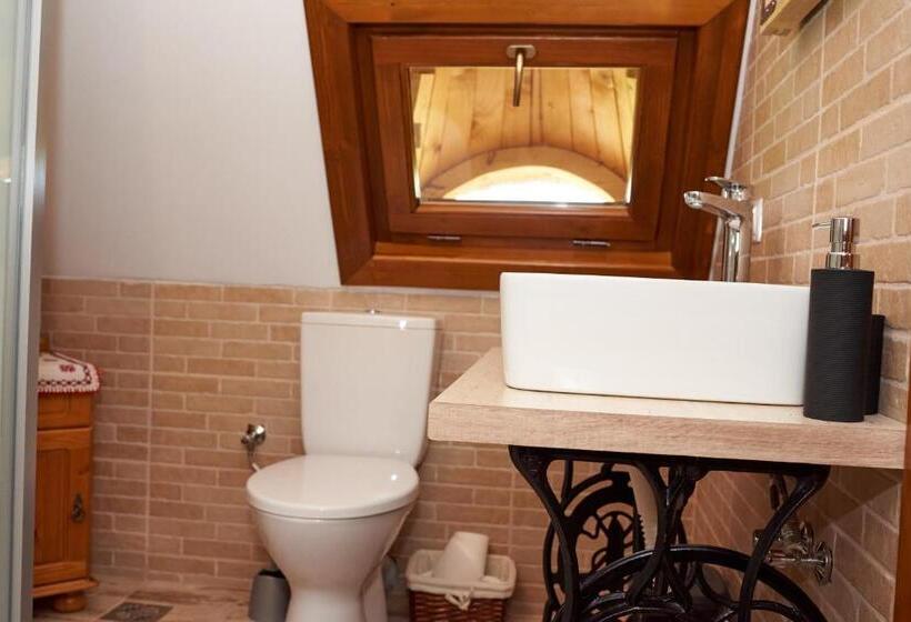 غرفة قياسية, Pensiunea Agroturistica Casa Pribegilor