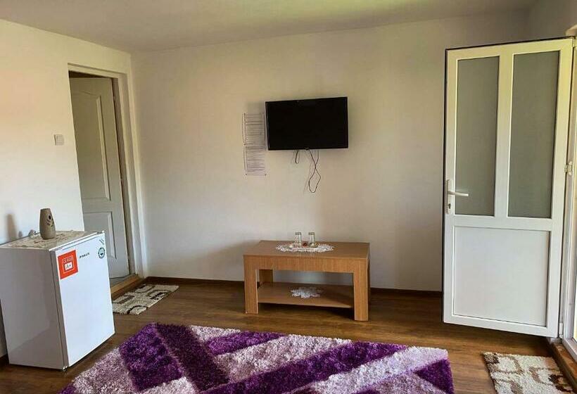 スタンダードルーム, Rajni Panzio