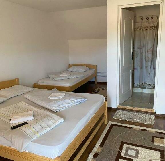 スタンダードルーム, Rajni Panzio