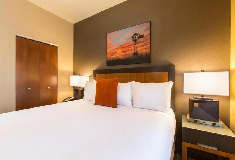 스위트 킹사이즈 침대, Cambria Hotel Plano   Frisco