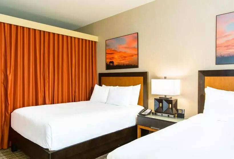 スイート, Cambria Hotel Plano Frisco