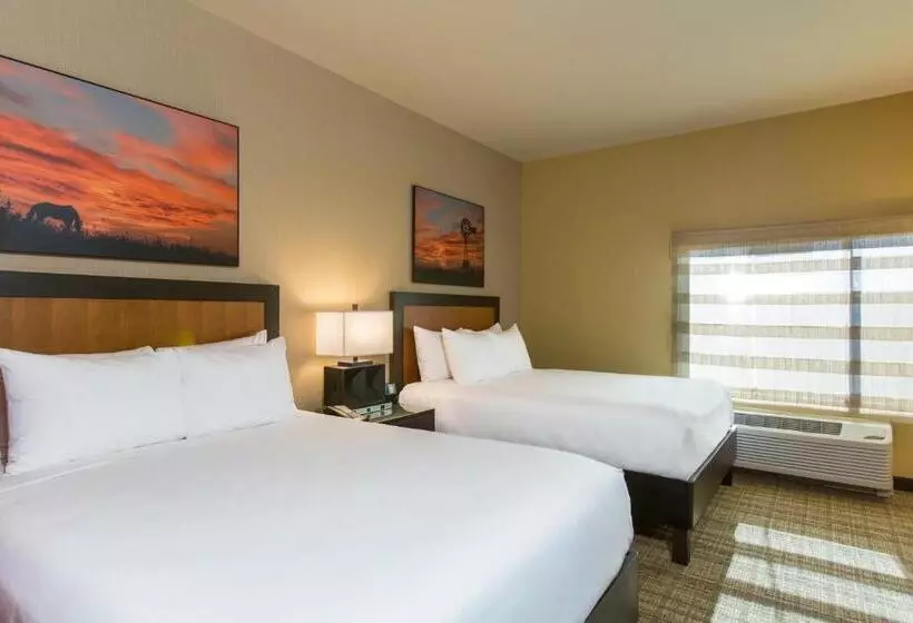 スイート, Cambria Hotel Plano Frisco