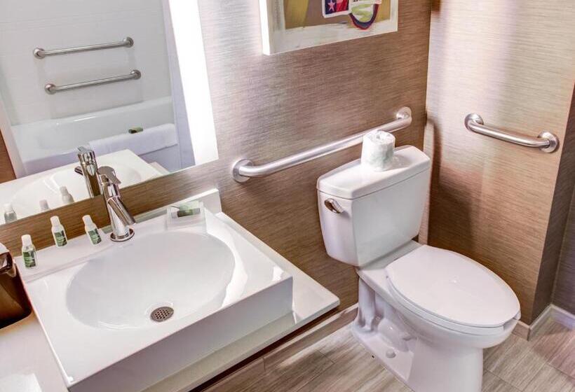 장애인을 위한 킹사이즈 침대 스탠다드 룸, Cambria Hotel Plano   Frisco