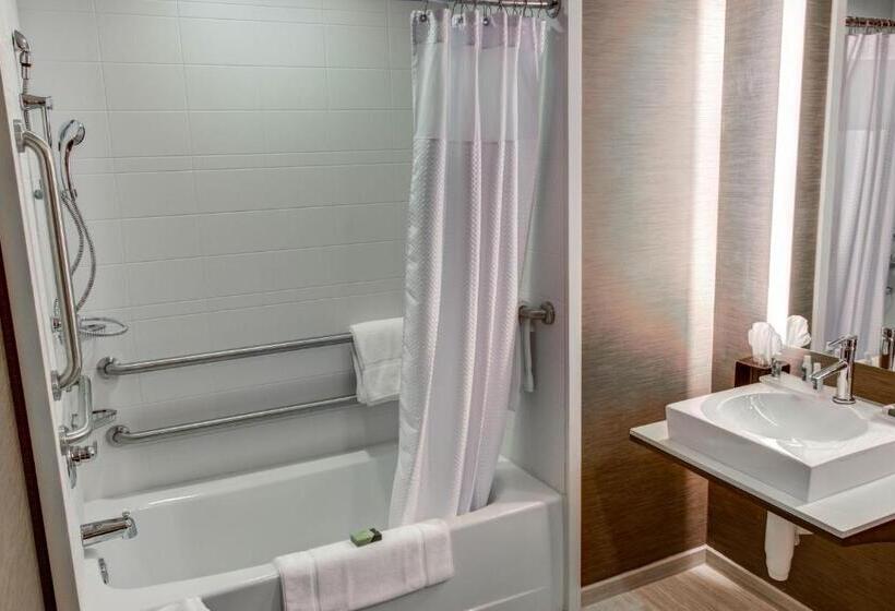 اتاق استاندارد با تخت بزرگ برای معلولان, Cambria Hotel Plano   Frisco