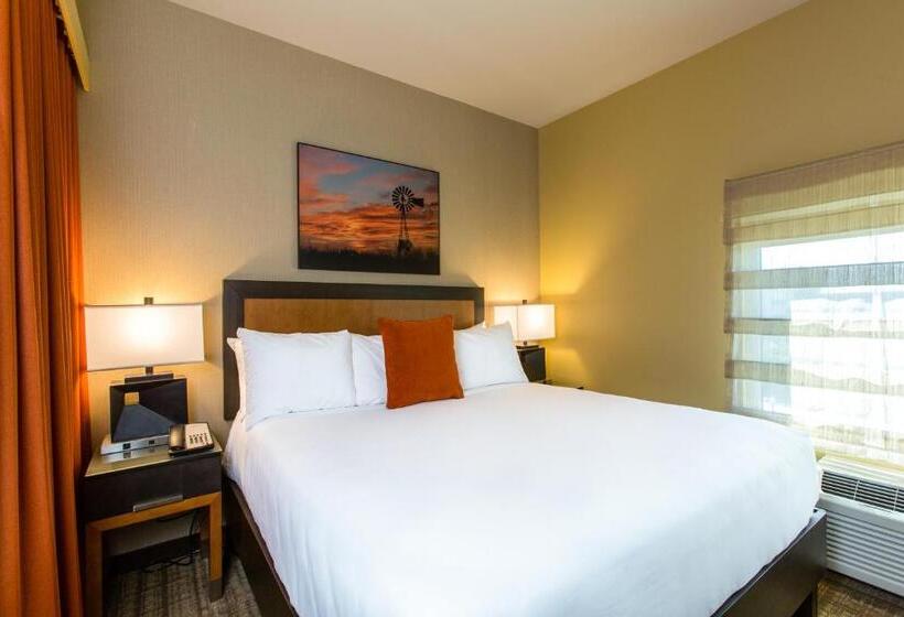 장애인을 위한 킹사이즈 침대 스탠다드 룸, Cambria Hotel Plano   Frisco