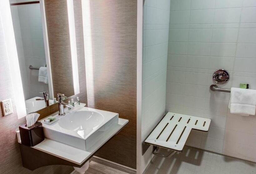 장애인을 위한 스위트, Cambria Hotel Plano   Frisco