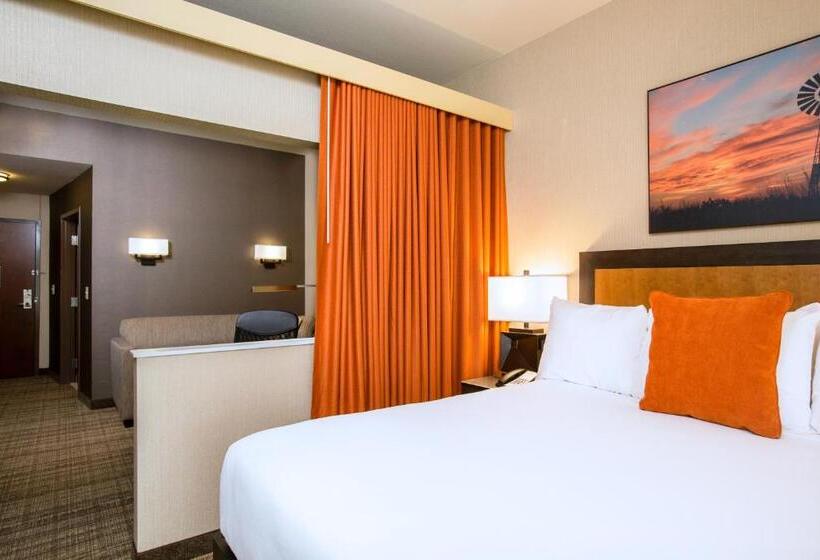 سوئیت با وان آب گرم, Cambria Hotel Plano   Frisco