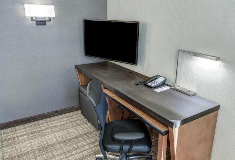Люкс Executive Кровать Кинг, Cambria Hotel Plano   Frisco