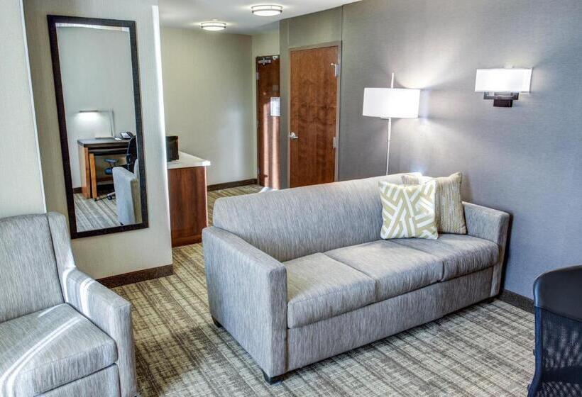 이그제큐티브 스위트 킹침대, Cambria Hotel Plano   Frisco