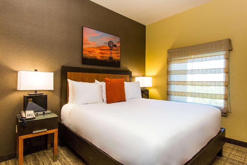 سوئیت با تخت بزرگ, Cambria Hotel Plano   Frisco