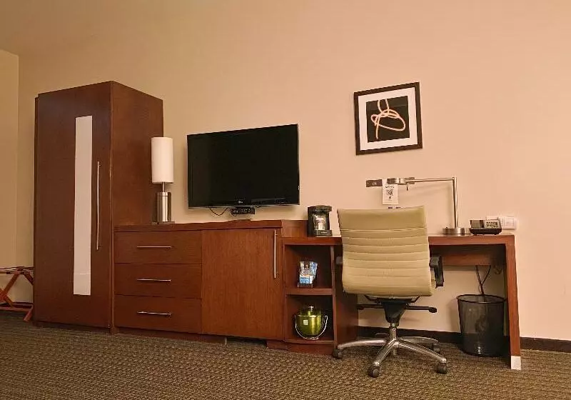 اتاق استاندارد, Doubletree By Hilton Hotel Santiago   Vitacura