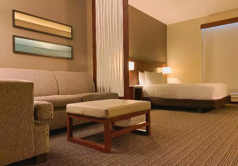 اتاق استاندارد, Doubletree By Hilton Hotel Santiago   Vitacura