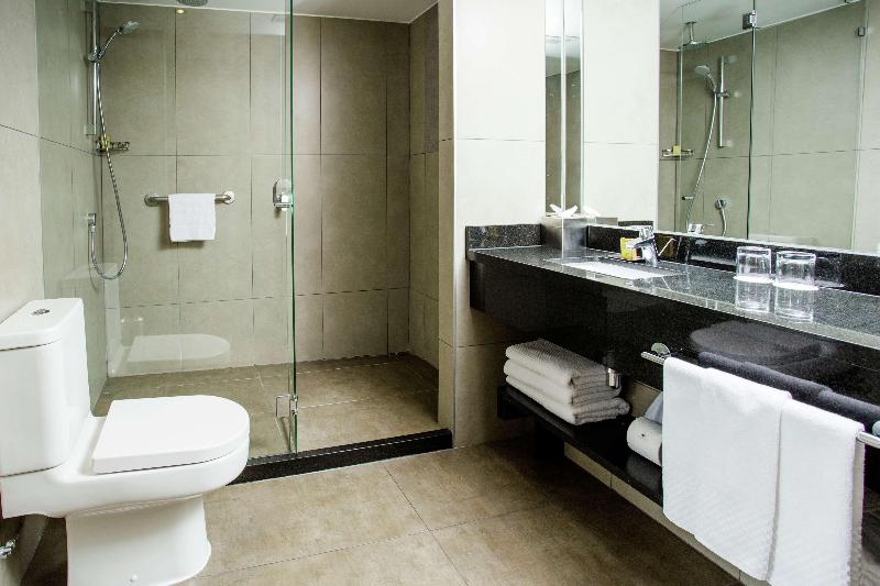 스탠다드 룸 킹사이즈 침대, Doubletree By Hilton Hotel Santiago   Vitacura