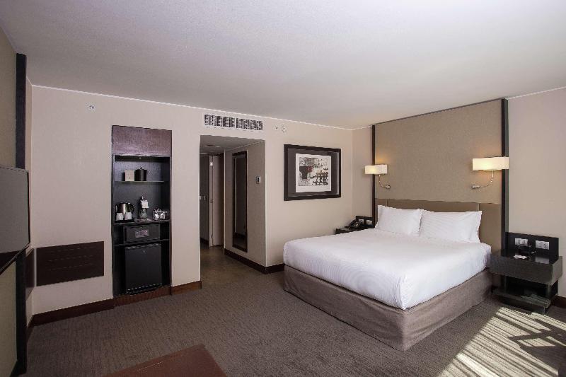스탠다드 룸 킹사이즈 침대, Doubletree By Hilton Hotel Santiago   Vitacura