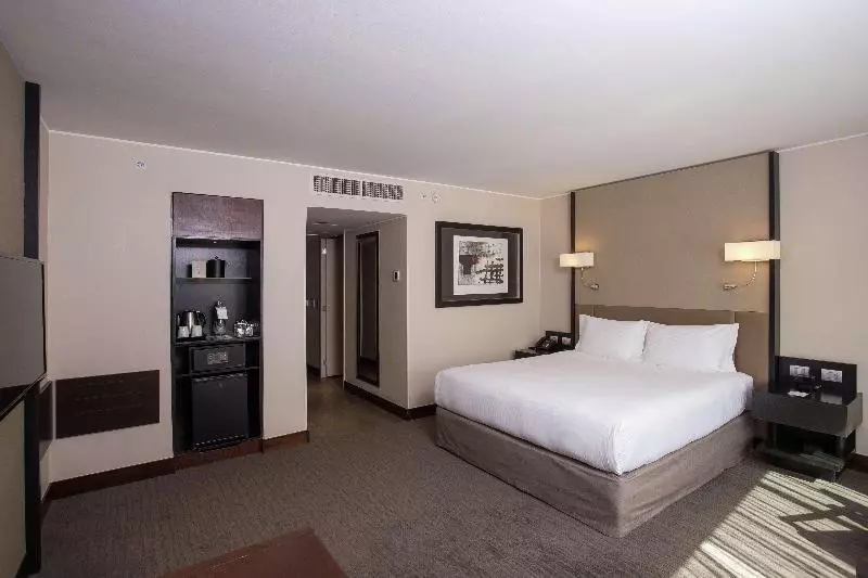 اتاق لوکس با تخت بزرگ, Doubletree By Hilton Hotel Santiago   Vitacura