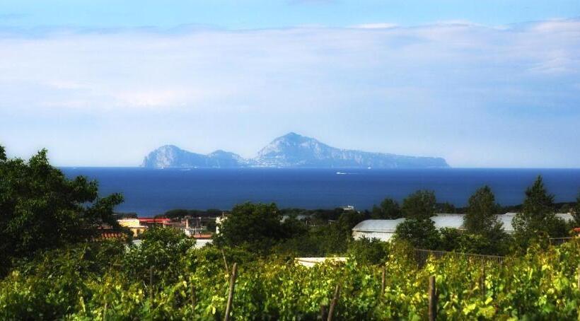 חדר דלוקס, B&b Casa Di Donna