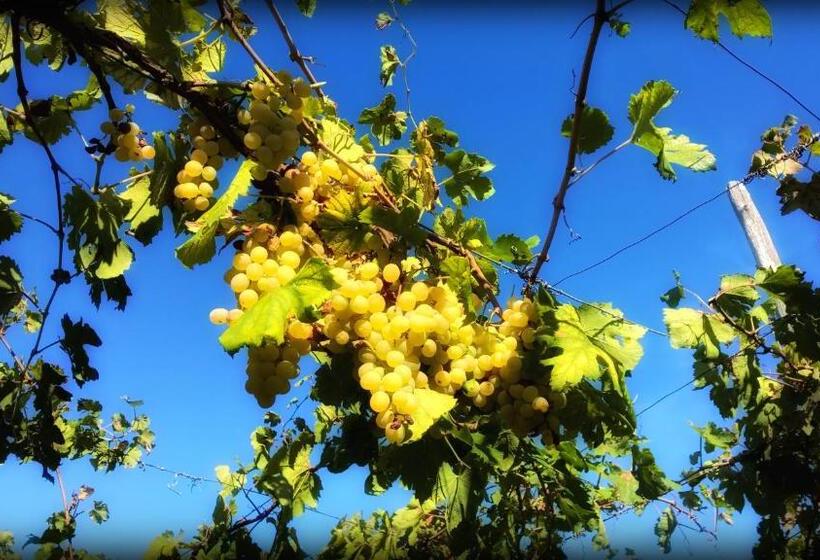 חדר סטנדרט, B&b Casa Di Donna