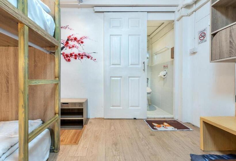 스탠다드 룸, โรงแรมชิบะรูม นครราชสีมา สาขามหาวิทยาลัยเทคโนโลยีสุรนารี