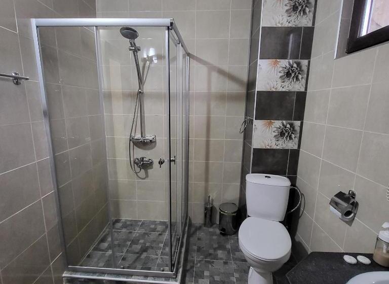 Номер Deluxe, Boina House