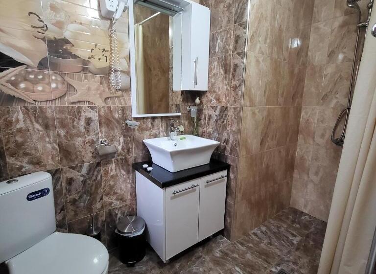 Номер Superior, Boina House