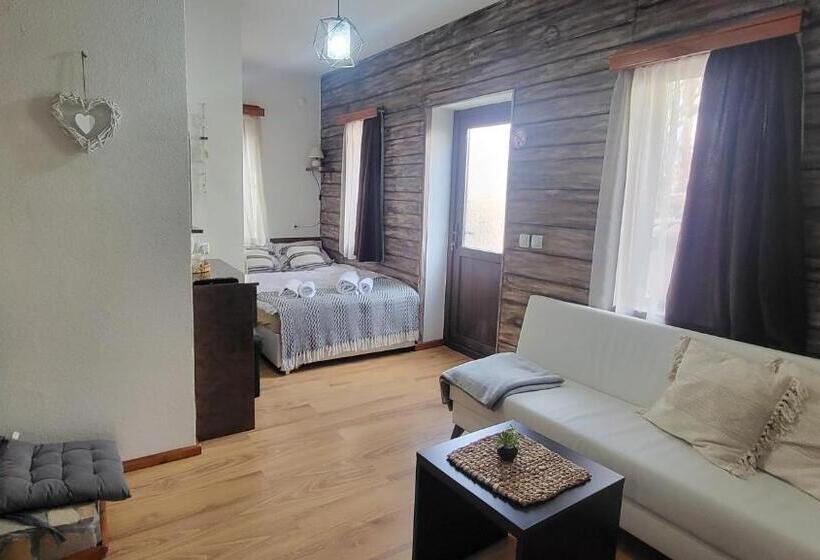 Номер Стандарт с Террасой, Boina House