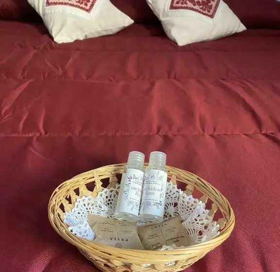 テラス付きスタンダードルーム, B&b Babay