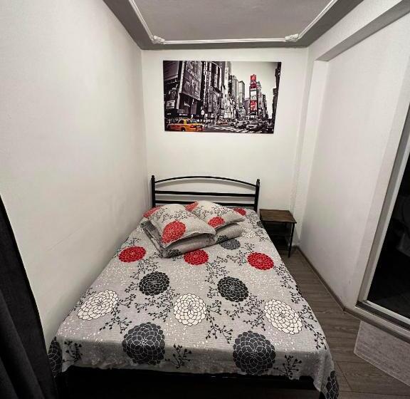 スタンダード4人部屋, Casa Bucovineană