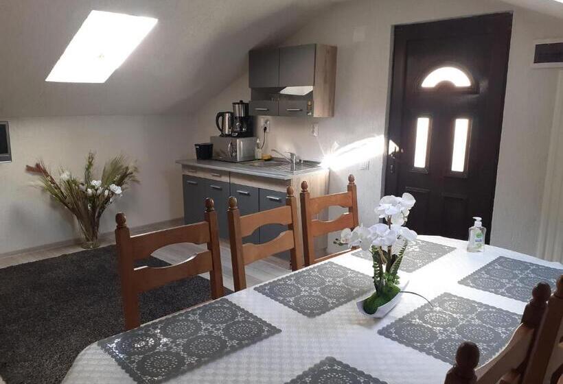 דירת שני חדרים, Casa Andy