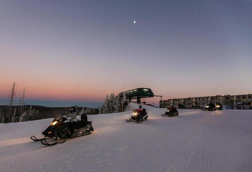 침실 1개 아파트, Stroll To Slopes, Village Area, Ski In Out Mtlodge 210