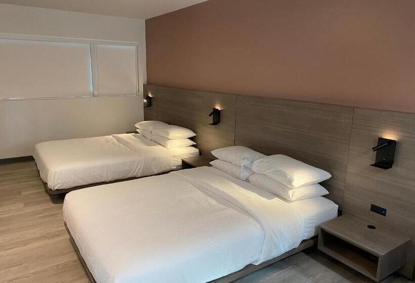 スタンダードスタジオ, Rolo Beach