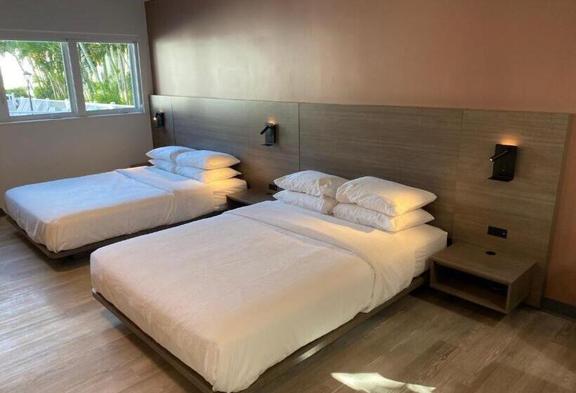 スタンダードスタジオ, Rolo Beach